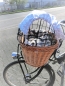 Preview: © Sterne Sonnensegel Sonnenschutz Blendschutz Hundefahrradkorb von Lüttentüddel