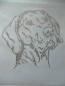 Preview: Traum Weimaraner Hund Strass Hotfix Hotglue Bügelbild Bügelmotiv