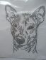 Preview: Chinesischer Schopfhund, Nackthund Hund Strass Hotfix Hotglue Bügelbild Bügelmotiv
