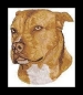 Preview: Pit Bull Staffordshire Terrier Hund Hotfix Bügelbild Strass Shirt Hundezucht