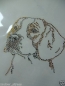 Preview: Beagle Hund Strass Hotfix Hotglue Bügelbild Bügelmotiv