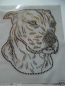 Preview: Pit Bull Staffordshire Terrier Hund Hotfix Bügelbild Strass Shirt Hundezucht