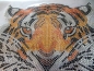 Preview: Traumhafter Riesen Tiger Kopf Hotfix Bügelbild Shirt Studs Jacke Hemd Bluse Top