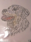 Preview: Retriever Hund Strass Hotfix Hotglue Bügelbild Bügelmotiv