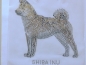 Preview: Akita SHIBA INU Akita Hund Strass Bügelbild Hundeschule Hundezucht Hundesofa Hundemantel Hundeleine