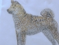 Preview: Akita SHIBA INU Akita Hund Strass Bügelbild Hundeschule Hundezucht Hundesofa Hundemantel Hundeleine