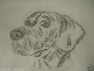Preview: Traum Weimaraner Hund Strass Hotfix Hotglue Bügelbild Bügelmotiv