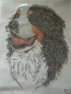Preview: Berner Sennenhund  Bernersennen Hund Strass Hotfix Hotglue Bügelbild Bügelmotiv