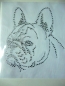 Preview: Französische Bulldogge Hund Strass Hotfix Hotglue Bügelbild Bügelmotiv