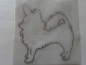 Preview: Papillon Spitz Hund Hotfix Bügelbild Strass Hundezucht Hundemantel Hundekorb Top
