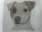 Preview: Jack Russel Hund Hotfix Bügelbild Shirt Studs Hundeschule Hundezucht Hundeleine