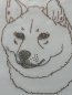 Preview: Akita SHIBA INU Akita Hund Strass Bügelbild Hundeschule Hundezucht Hundesofa Hundemantel Hundeleine