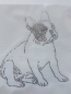 Preview: Fr. Bulldogge Hund Strass Hotfix Hotglue Bügelbild Bügelmotiv