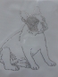 Preview: Fr. Bulldogge Hund Strass Hotfix Hotglue Bügelbild Bügelmotiv