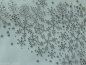 Preview: Stern Eiskristall Schneeflocke Strass Hotfix Bügelbild Schiebevorhang Stuhlhusse