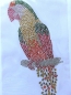 Preview: Papagai Ara Vogel XXL Strass Hotfix Bügelbild Tischdecke Jacke Hose Shirt Bluse
