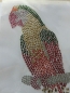 Preview: Papagai Ara Vogel XXL Strass Hotfix Bügelbild Tischdecke Jacke Hose Shirt Bluse
