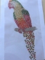 Preview: Papagai Ara Vogel XXL Strass Hotfix Bügelbild Tischdecke Jacke Hose Shirt Bluse