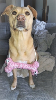 ♥ Ringkissen Knochen Wunschname Stickerei Standesamt Kirche Hochzeit Hochzeitsknochen Just Married I Do -