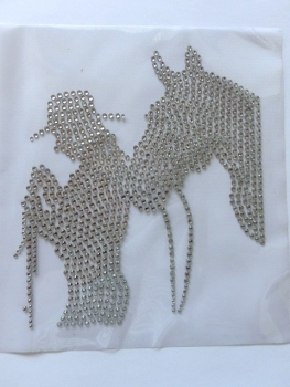 Pferd Pferdeflüsterer Strass Hotfix Bügelbild Jacke Hose Shirt Bluse Schabracke