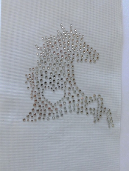 Pferd Dressur Reiten Strass Hotfix Bügelbild Schabracke Bandagen Abschwitzdecke li