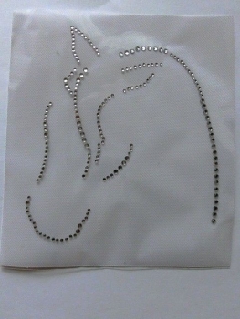 Pferd für Schabracke Reithelm Hotfix Bügelbild Strass Abschwitzdecke Bandagen