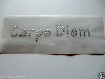Carpe Diem Schriftzug Strass Hotglue Hotfix Bügelbild