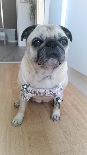 ♥ Ringkissen Knochen Wunschname Stickerei Standesamt Kirche Hochzeit Hochzeitsknochen Just Married I Do -