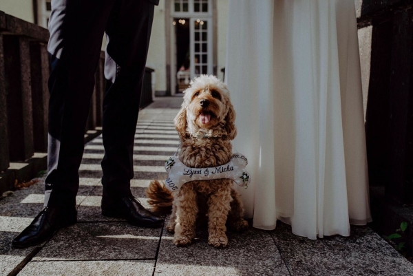 ♥ Ringkissen Knochen Punkte Wunschname Stickerei Hochzeit Hochzeitsknochen Just Married I Do