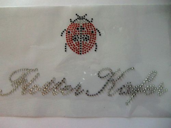 Schriftzug Flotter Käfer Strass Bügelbild Hotfix Hotglue