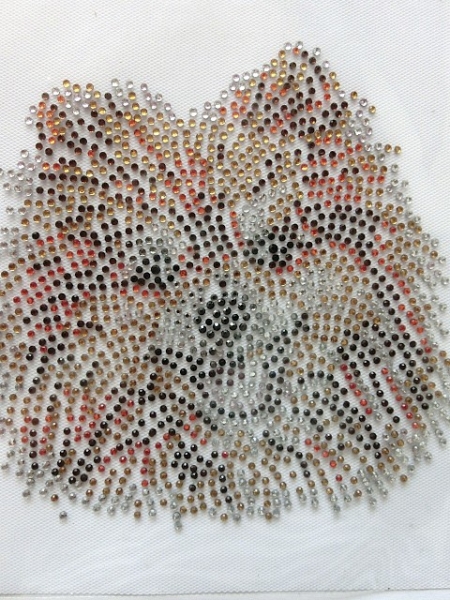 Spitz Hund Hotfix Bügelbild Shirt Strass Hundeschule Hundezucht Hundeleine