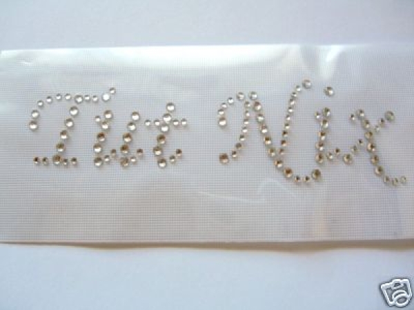 Tut Nix  Hundebett Hotglue Bügelbild Strass