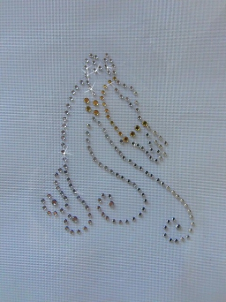 Pferd  HOTFIX HOTGLUE Bügelbild Strass z.B. Schabracke Bandagen Abschwitzdecke