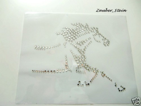 Traum Pferd Schabracke Reiten Hotfix Bügelbild Strass